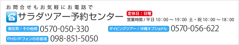 お問い合わせもお気軽にお電話で サラダツアー予約センター(定休日:日曜) 平日10:00〜19:00 土・祝10:00〜18:00
